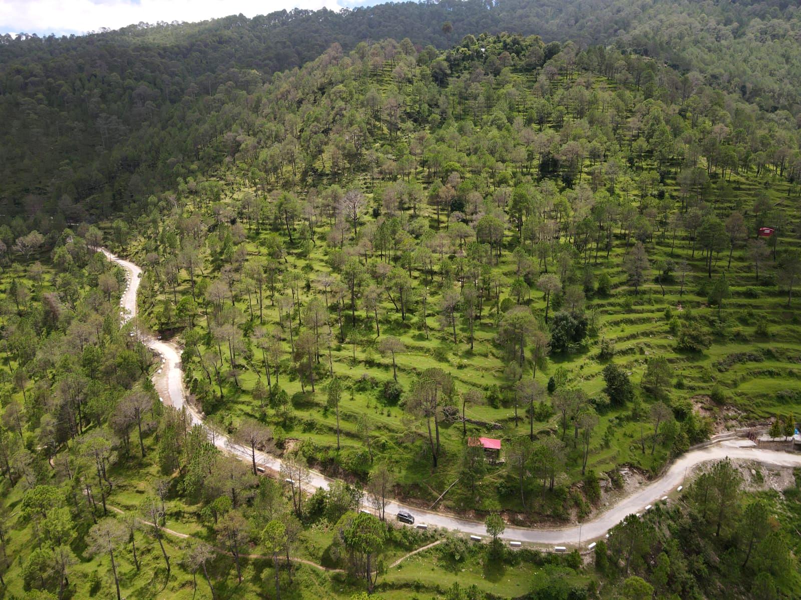 Aerial view of the terraced Alpine Meadows estate above Village Kot, Ranikhet