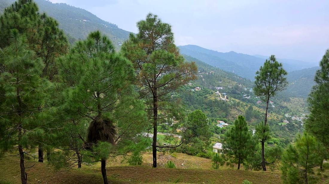 View across the valley from the estate